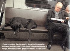 «Επόμενη στάση: Σκυλοτροφή». Δεν είναι λίγα τα αδέσποτα της Μόσχας που έχουν μάθει να χρησιμοποιούν το  Μετρό. Και ξέρουν κάθε φορά πού πρέπει να κατέβουν  