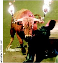 Πρόκειται καταφανώς για βασανισµό του ταύρου, όµως οι καταλανοί βουλευτές ψήφισαν νόµο που θεσµοποιεί «φιέστες» όπως αυτή της φωτογραφίας 