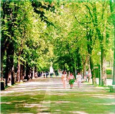 Πάρκα υπάρχουν παντού στη Βιτόρια. Για κάθε έναν από τους 240.000 κατοίκους  της αντιστοιχούν 42,12 τ.µ. πρασίνου  